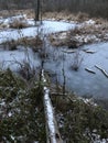 AN ICY POND WITH A LOG ON A COLD WINTER`S DAY