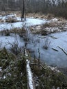 An icy pond in the woods on a winter`s day