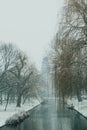 Icy river in a park covered in snow Royalty Free Stock Photo