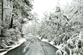 Icy Road Royalty Free Stock Photo