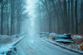 Icy road in foggy forest, view on a December day Royalty Free Stock Photo