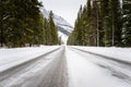 Icy Road Through a Pine Forest in the Mountains Royalty Free Stock Photo