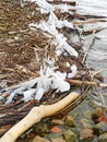 Cayuga Lake icy shoreline ice, driftwood and rock colors Royalty Free Stock Photo