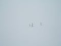 Icy ski lift with inexperienced skier in in thick fog. Skiers in the fog on a snowy mountain Royalty Free Stock Photo