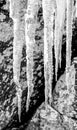 Icy snow teeth in the park Royalty Free Stock Photo