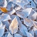 Icy tranquility Fallen leaves adorned with hoarfrost in a snowy park