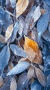 Icy tranquility Fallen leaves adorned with hoarfrost in a snowy park