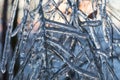 Icy tree braches Royalty Free Stock Photo