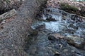 Icy Vermont Brook in late December. Water flows after a snowstorm Royalty Free Stock Photo