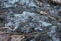 Icy Vermont Brook in late December. Water flows after a snowstorm Royalty Free Stock Photo