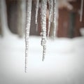 Icycles hanging from rooftop. Closeup.