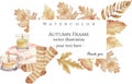 Watercolor vector autumn floral banner with golden dried leaves, flowers, fall essential - leaf frame borde.