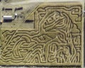 Idaho corn maze with trails and patterns Royalty Free Stock Photo