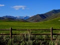 Idaho Mountain Ranch Cattle Pasture Royalty Free Stock Photo