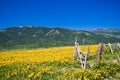Idaho Mountains in June Royalty Free Stock Photo