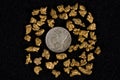 Idaho Placer Gold Nuggets Royalty Free Stock Photo