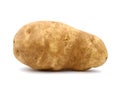 Idaho potato Royalty Free Stock Photo