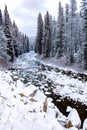 Idaho wilderness river in winter with snow on the ground