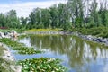 Idea of artificial decorative pond in landscape design. Royalty Free Stock Photo