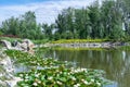 Idea of artificial decorative pond in landscape design. Pond landscaping. Royalty Free Stock Photo