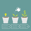 Idea bulb seed, watering can, dollar plant in pot. Royalty Free Stock Photo