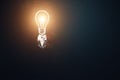 Idea concept. Education, training, motivation, inspiration, symbol. Flying light bulb as a rocket Royalty Free Stock Photo
