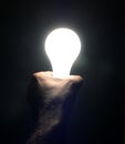 Idea concept - hand holding a lightbulb