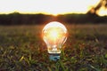 Idea concept light bulb standing on grass and sunset