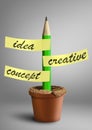 Idea creative concept, pencil with stickers as plant in pot