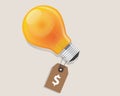 Idea has a price tag dollar symbol of money label retail discount offer lamp bulb shine