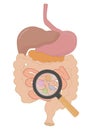 Idea intestines with microbes under a magnifying glass stomach tract sick vector illustration