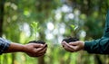 Idea of planting trees on world environment day. Earth Day In hands of trees growing seedlings. Bokeh green Background Female hand Royalty Free Stock Photo