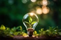 Idea of renewable energy and energy saving. Energy saving light bulb and tree growing on the ground on bokeh nature Royalty Free Stock Photo