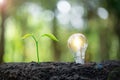 Idea of renewable energy and energy saving. Energy saving light bulb and tree growing on the ground on bokeh nature background. Royalty Free Stock Photo