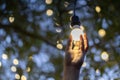 Idea solar energy in nature, close up of hand holding light bulb against nature Royalty Free Stock Photo