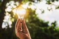 idea solar energy in nature, hand holding light bulb Royalty Free Stock Photo