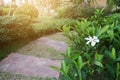 Idea of Stone and cement tile design for paving walkway in the garden. Royalty Free Stock Photo