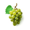 Ideal green fresh grape with leaf top view, isolated on a white background, generative AI Royalty Free Stock Photo