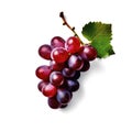 Ideal fresh purple grapes with the leaf top view, isolated on a white background, generative AI Royalty Free Stock Photo