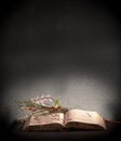 Old open book with Dried Flowers on a Rough Dark Background
