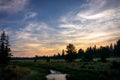 A ideal green pasture with a well lit sky Royalty Free Stock Photo