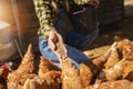 chicken farmer woman looks to camera with her hens at a farmside