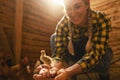 Proud chicken farmer woman showing a newborn chicken in her hands in a henhouse Royalty Free Stock Photo