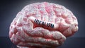 Idealism and a human brain