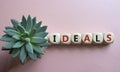 Ideals symbol. Wooden blocks with word Ideals. Beautiful pink background with succulent plant. Business and Ideals concept. Copy Royalty Free Stock Photo