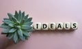 Ideals symbol. Wooden blocks with word Ideals. Beautiful pink background with succulent plant. Business and Ideals concept. Copy