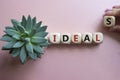 Ideals symbol. Wooden blocks with word Ideals. Businessman hand. Beautiful pink background with succulent plant. Business and