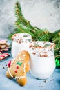 Christmas gingerbread martini Royalty Free Stock Photo