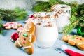 Ideas for Christmas drink, gingerbread martini Royalty Free Stock Photo