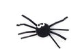 ideas for a class recycling plastic caps tutorial, Black plastic bottle cap transformed into spider with paper legs on a Royalty Free Stock Photo